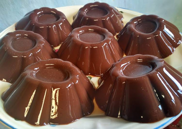 Resep Cara Membuat Puding Coklat Nutrijel