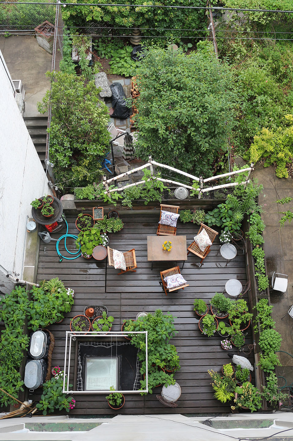 66 Square Feet Plus Terrace Garden Rainwashed In Harlem