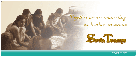 Seva Teams