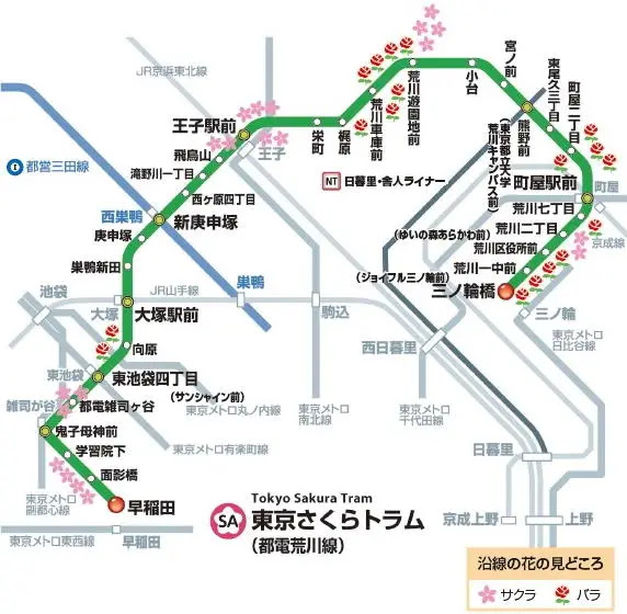 都電荒川線東京櫻花路面電車Tokyo Sakura Tram