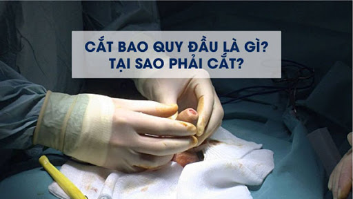 lý do cắt bao quy đầu