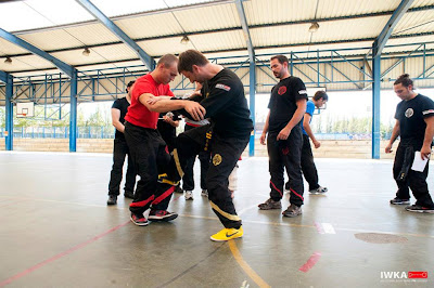 alt="seminario kung fu mostoles"