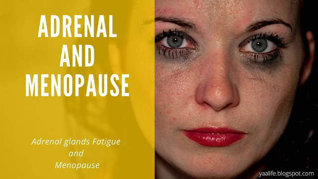 Adrenal glands Fatigue and Menopause
