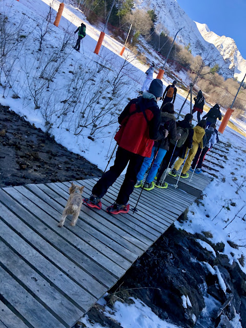 Sancy Auvergne Masivul Central Francez
