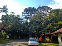 Parque Estadual da Cantareira em São Paulo