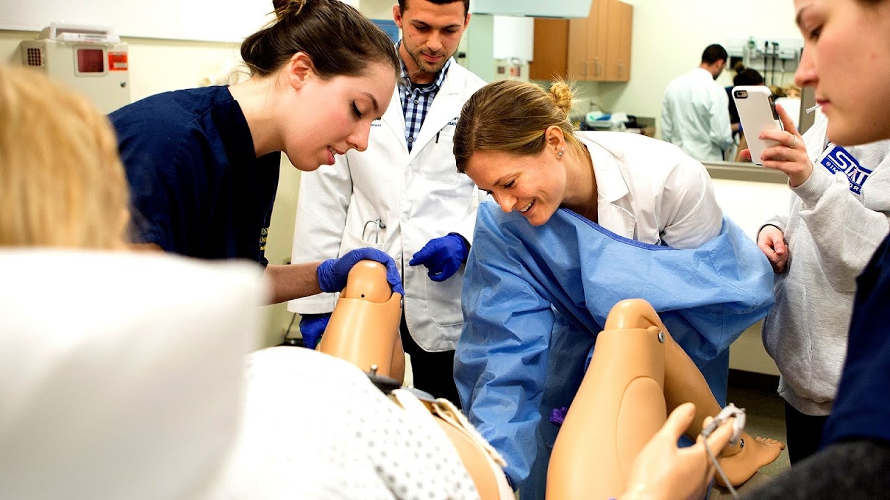 Prerequisites For Physician Assistant Program