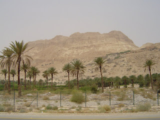 Dead Sea -  Ein Gedi Nature Reserve