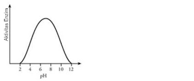 Contoh Soal Interpretasi Data Sederhana tentang Enzim