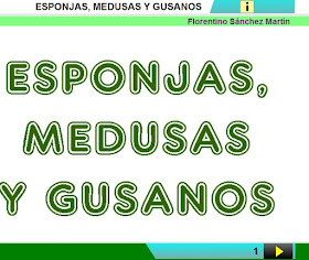 http://www.ceiploreto.es/sugerencias/cplosangeles.juntaextremadura.net/web/curso_4/naturales_4/esponjas_medusas_gusanos_4/esponjas_medusas_gusanos_4.html