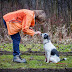 Psychological Effects of Pets are Profound