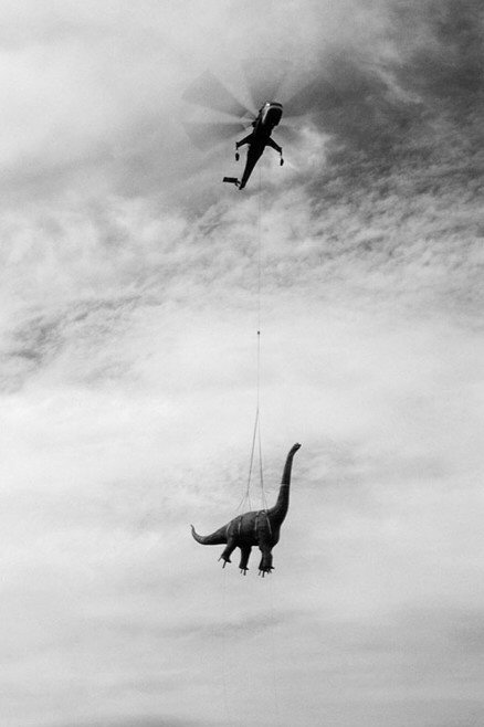 Flying Dinosaur