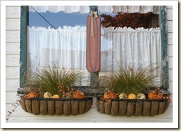 fall window boxes 09 #2