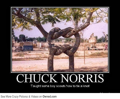 chuck norris