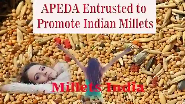 APEDA Entrusted to Promote Indian Millets in International Market