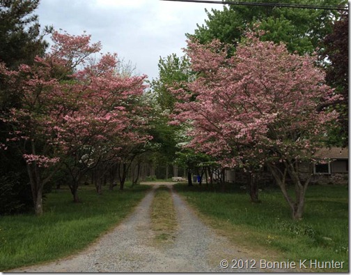 Delaware2012 021