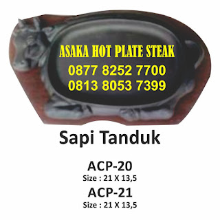 Hot Plate Sapi Tanduk ACP-20 ,Produk ACP - 20 ( hot plate Sapi Tanduk) , Hot Plate Sapi Tanduk ACP-20 