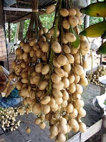 r 25 Buah Langka Dari Kalimantan