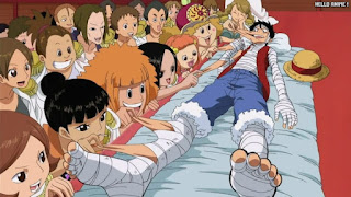 ワンピースアニメ 512話 九蛇海賊団 ルフィ Monkey D. Luffy | ONE PIECE Episode 512