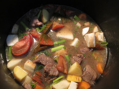 Gluten Free Beef Stew packed with vegetables