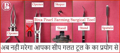 Pearl Farming Surgical tool kit