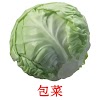 蔡博軒