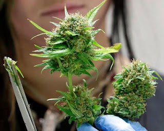 legalize weed