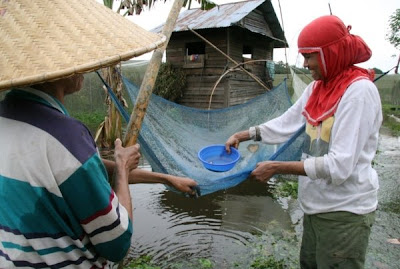 Banjir Riau