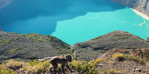 Tips Trips to Lake Three Colors- Flores