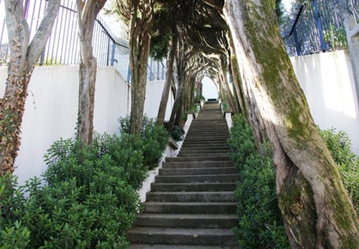 CasteloBrancoMiradourodeS.Gensescada