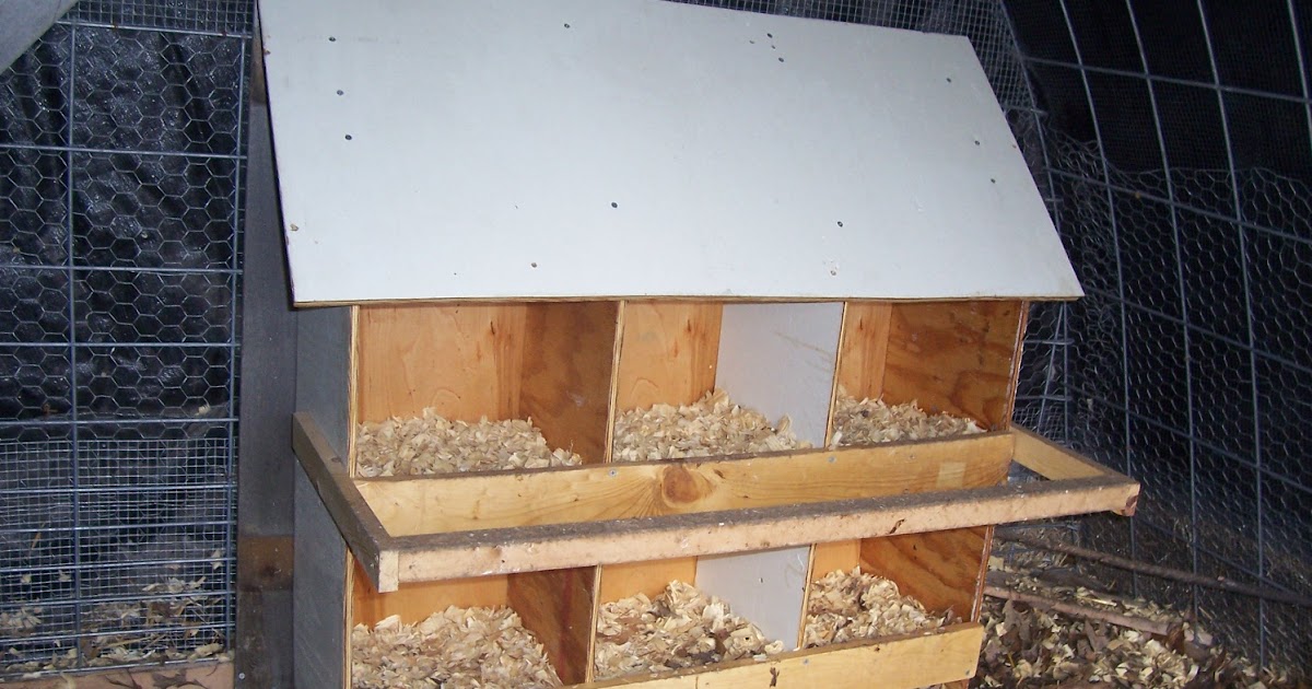 ... Garden Journal: A Low cost, easy to build, chicken nest box design