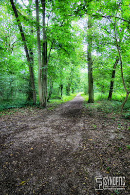 Escapade nature à Guyancourt