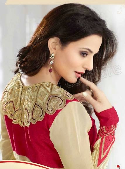 Ameesha Patel HD Wallpapers Free Download