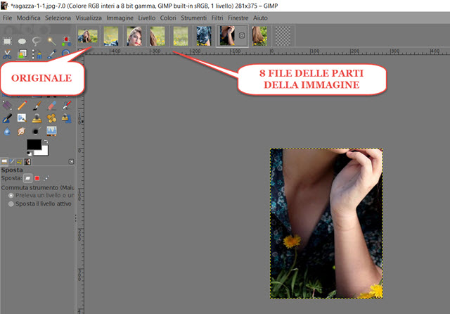 divisione-immagine-in-file-separati