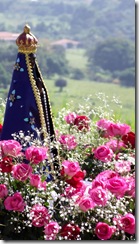 DSCF7165