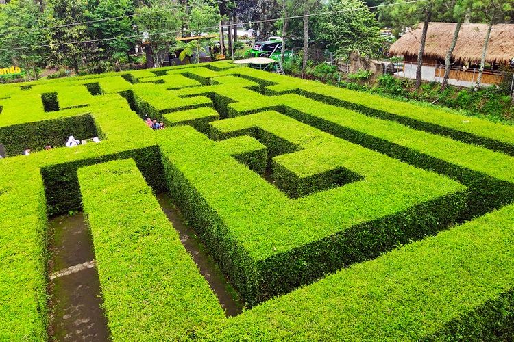 Tempat Wisata Coban Rondo di Malang.