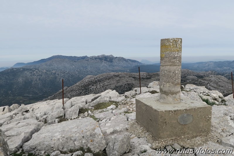 Sierra de los Pinos por las Pulgas