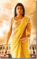 Shriya Saran Pavitra Movie Tamil Posters, Shriya Saran Latest Hot Photos in Pavitra