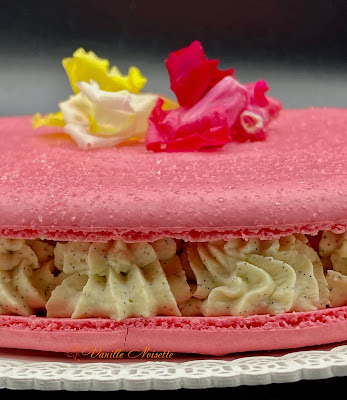 MACARONS FRAISE - VANILLE sur une recette de PHILIPPE RIGOLLOT