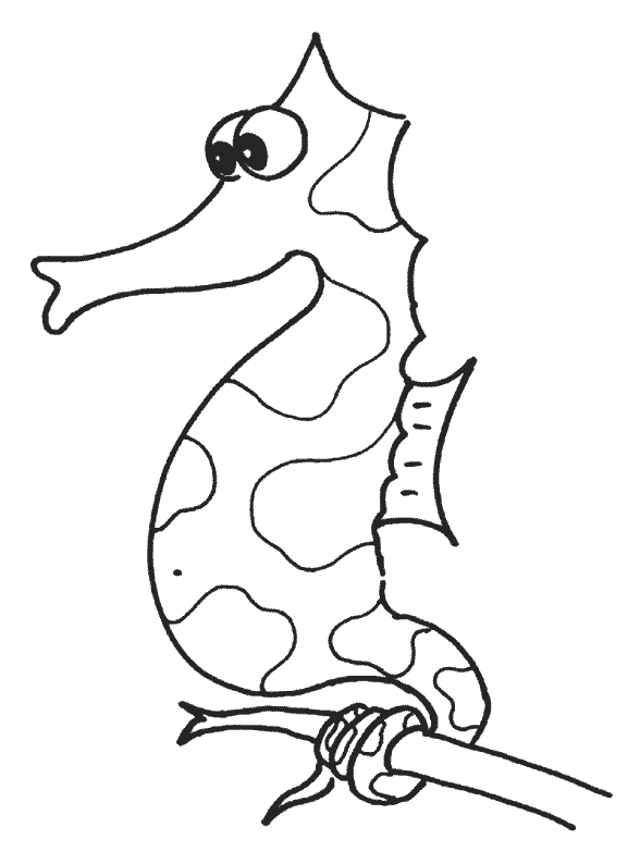 Seahorse Coloring Pages Pictures | Kids Coloring Pages