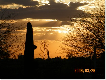 late, late afternoon