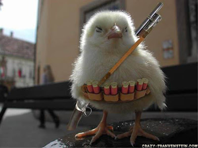wallpapers funny. war wallpapers. Funny Chicken