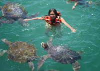 Playa Tropical peruano