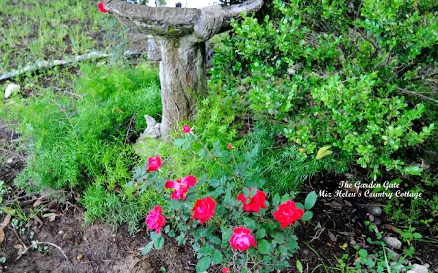 The Garden Gate, Spring 2015, at Miz Helen's Country Cottage