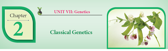 KALVISOLAI ONLINE TEST 87 - CLASS 12 BIOLOGY BOTANY - CHAPTER 2 CLASSICAL GENETICS - 1 MARK QUESTIONS - ONLINE TEST