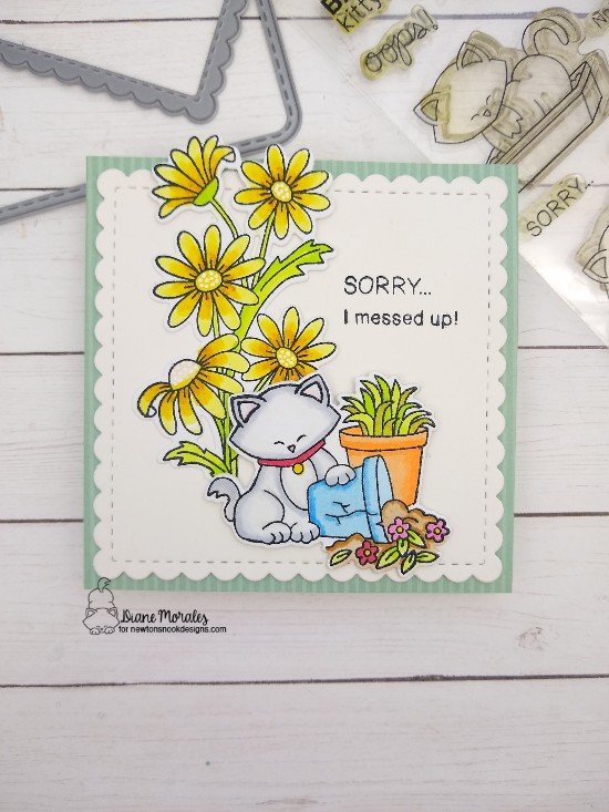 Sorry I messed up by Diane features Dainty Daisies, Naughty Newton, and Frames Squared by Newton's Nook Designs; #newtonsnook, #cardmaking