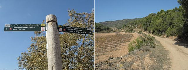 Poblet a Vallbona de les Monges - Camí de Sant Jaume de Compostela; Camí del Tossal Gros