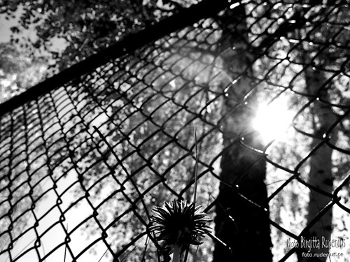 bw_20110506_otherside