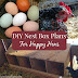 Free DIY Nest Box Plans for Your Chicken Coop