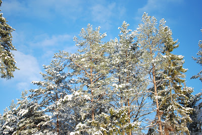 vinter vitt krispigt