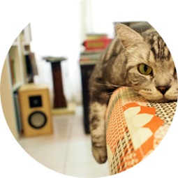 FLICKR